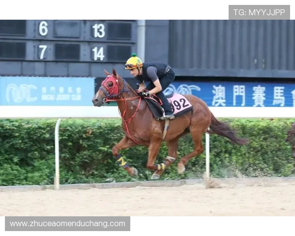 澳门赛马日特色活动，丰富多彩的娱乐项目与现场互动体验推荐
