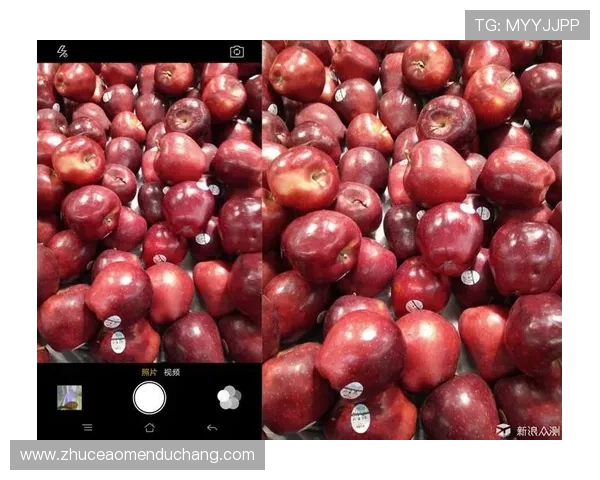 og plus真人全景呈现真实场景带来极致沉浸体验