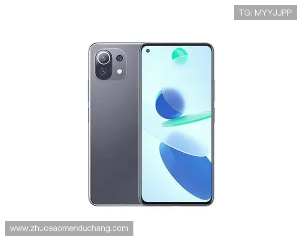 威斯尼斯人在线注册平台全面指南助你轻松开启高效游戏体验