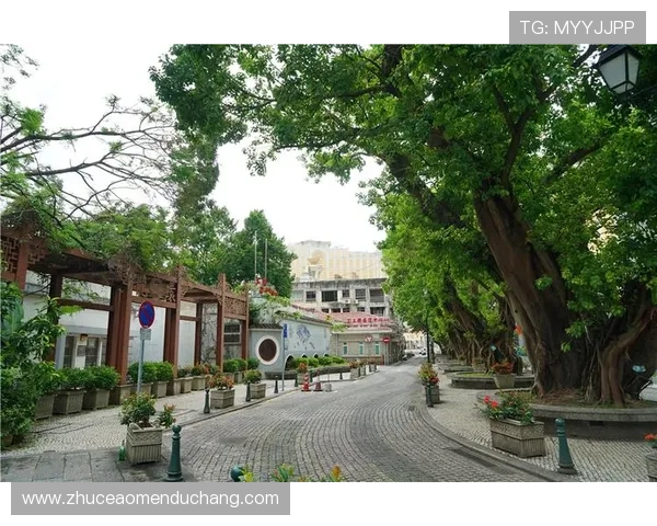 最新澳门银河地图更新内容,了解最新设施布局和区域变动信息 最新澳门银河地图更新内容,了解最新设施布局和区域变动信息