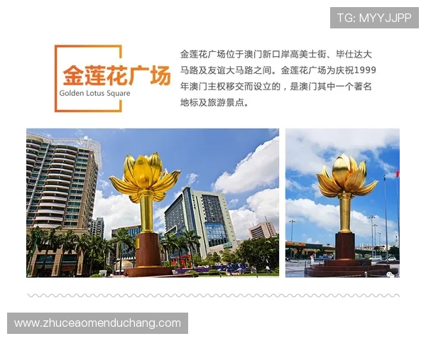 探索澳門新濠天地的最新娱乐设施和优惠活动，开启非凡的娱乐之旅